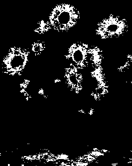 [Color Thresholding]